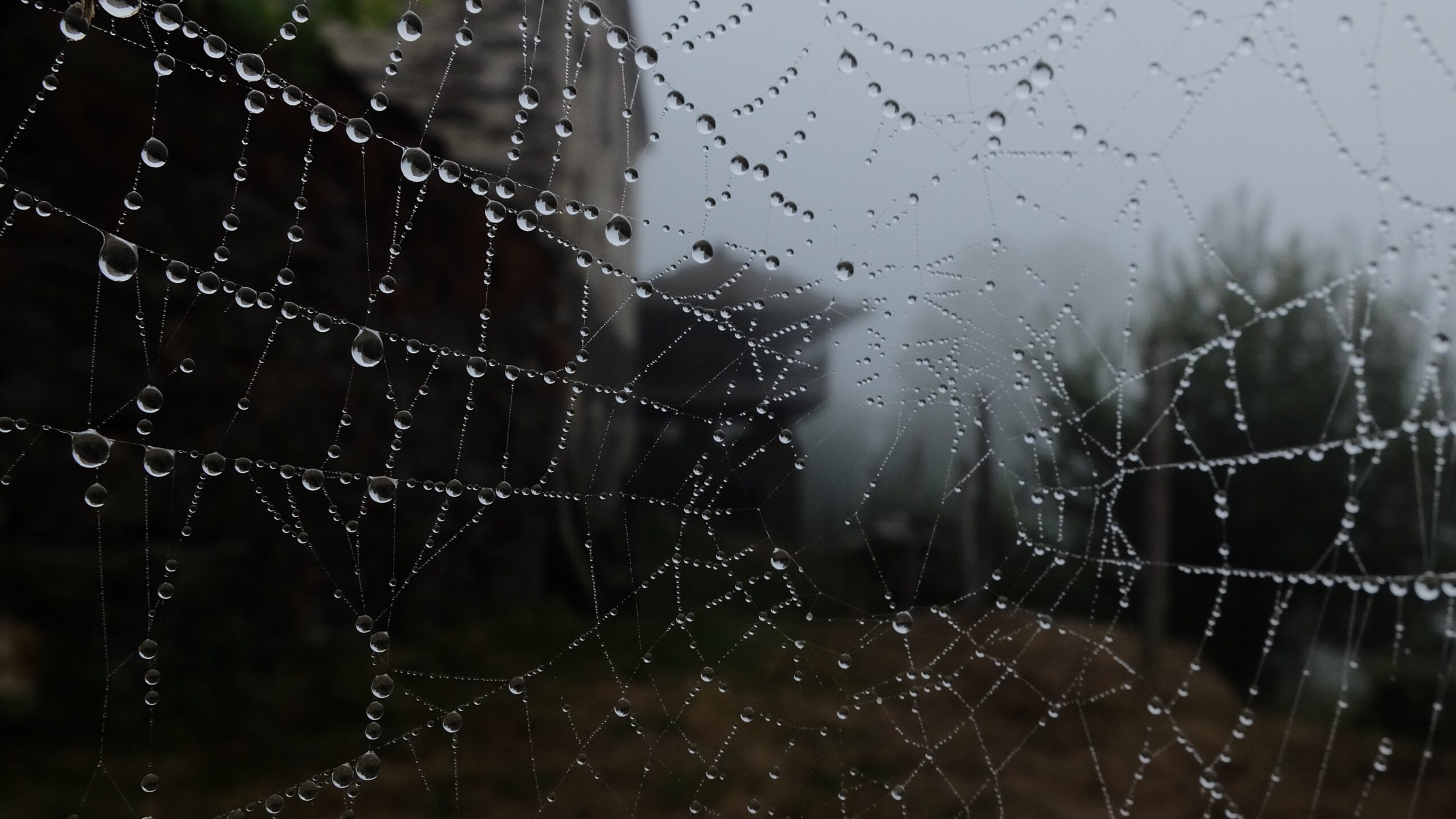 Ocean water framed by rock formations